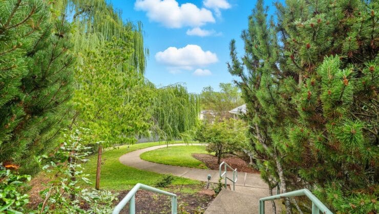 Pathway winding through greenery in an outdoor area