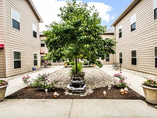 Courtyard with trees and flower beds