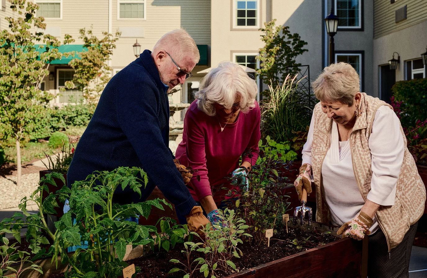 Residents and staff gardening together outdoors.