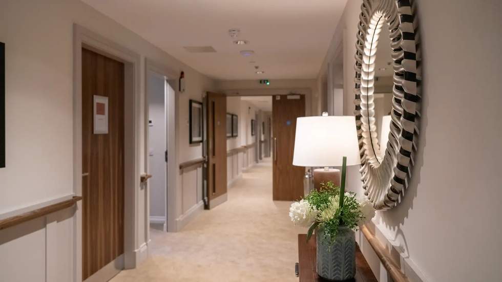 Well-lit hallway with decorative mirror and plants