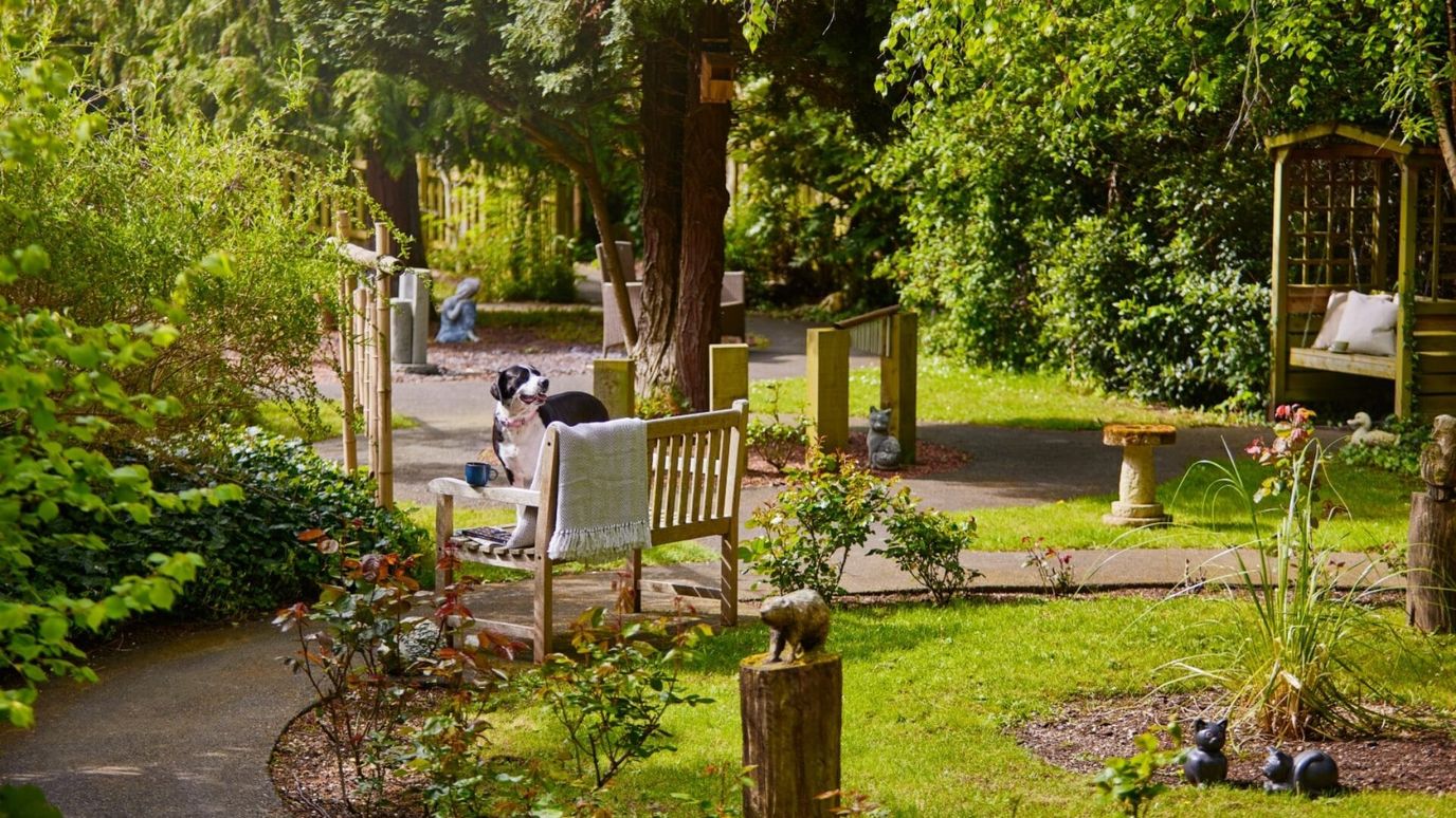A tranquil garden space with seating and greenery