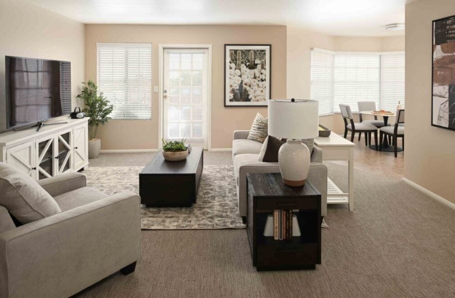 Bright living room featuring a sofa, rug, and television.