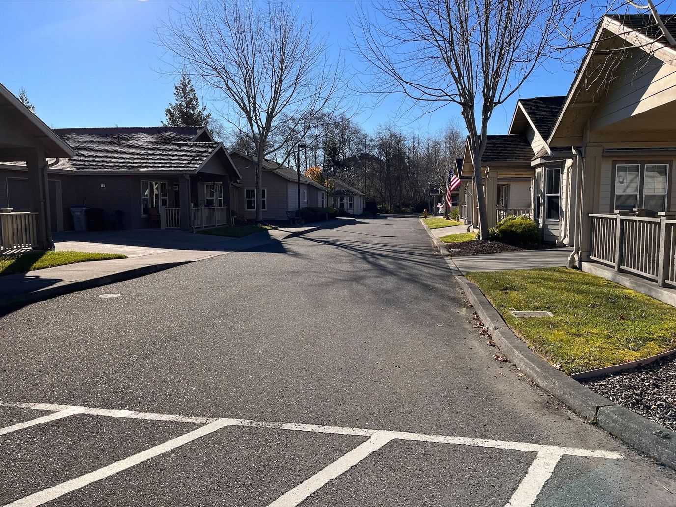 Sunny outdoor pathway with buildings and trees