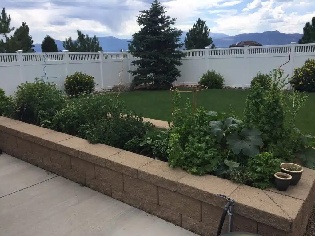 Lush garden with various plants at New Day Cottages