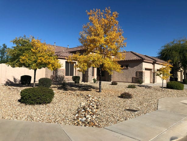 Exterior view of a residential building with trees and landscaping