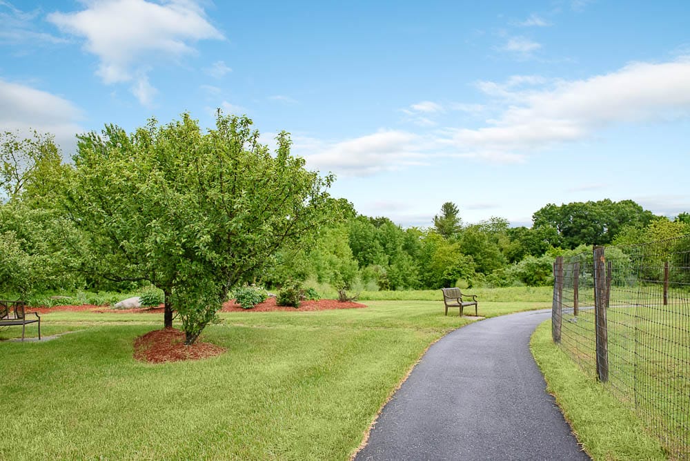 Pathway through a landscaped outdoor area with benches