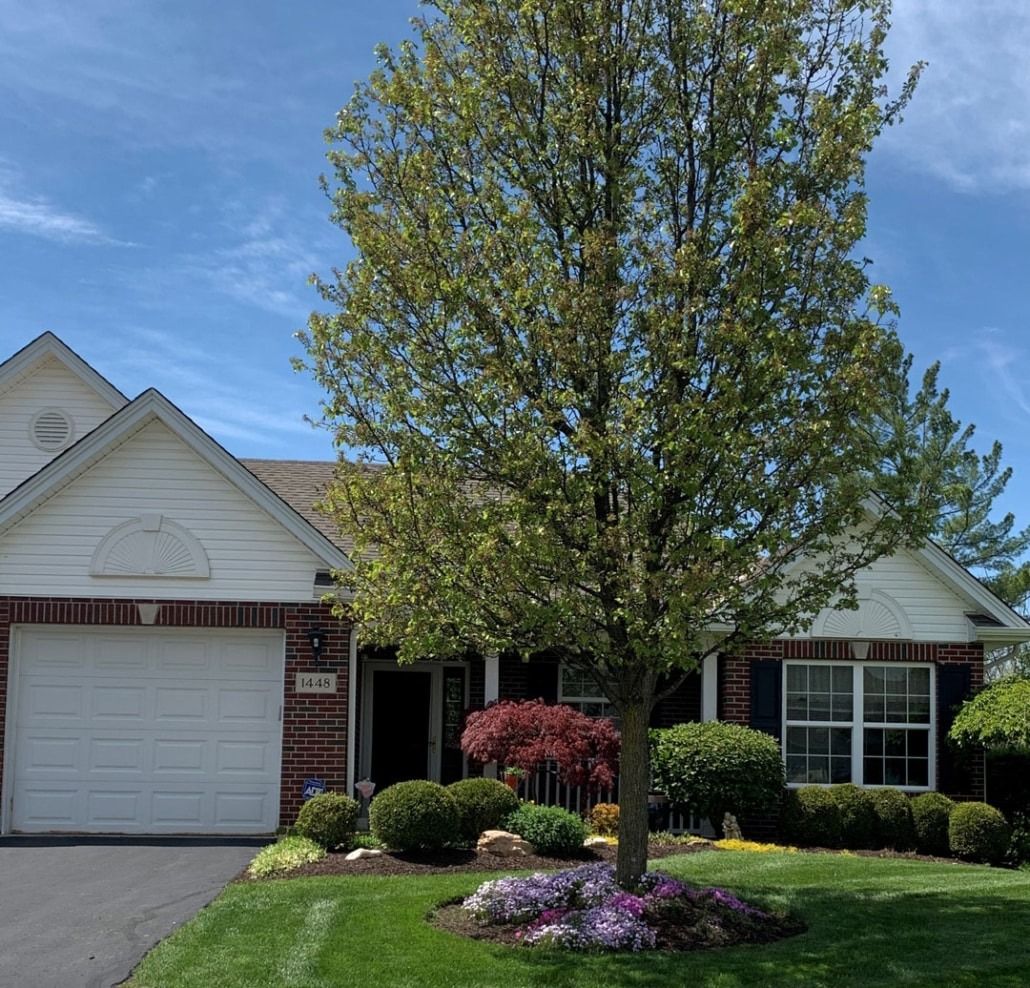 Front view of a residential unit with flowers and a large tree