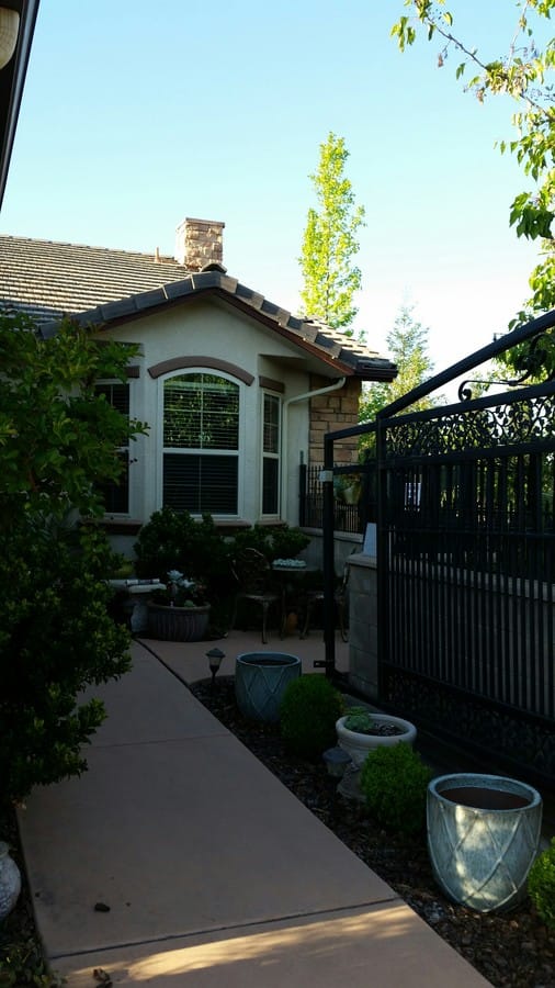Pathway leading to a residential cottage surrounded by greenery.