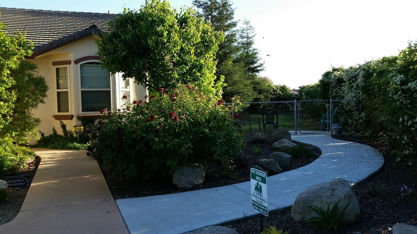 Pathway lined with plants leading to the entrance of The Garden Cottages.