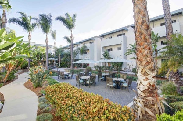 Outdoor patio area with tables and palm trees