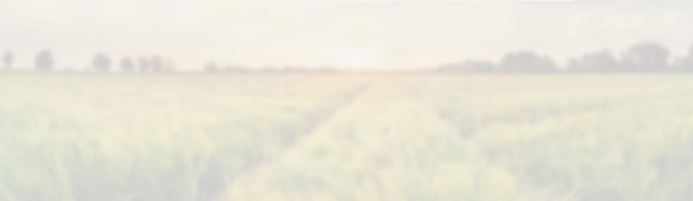 Blurred outdoor landscape with tall grass and trees