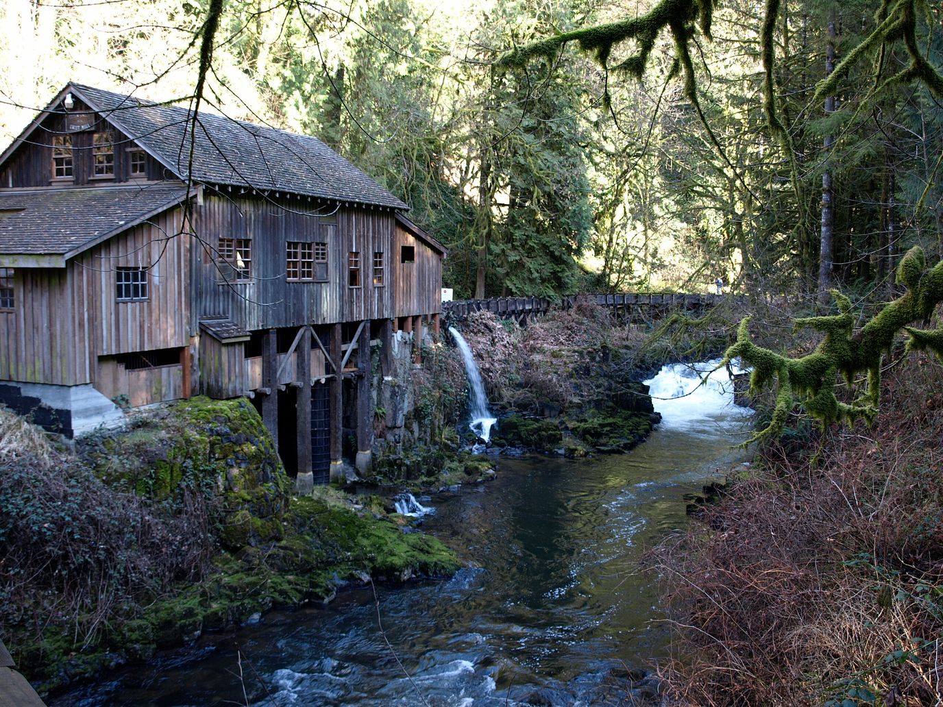 Historic wooden building by a river in a forest