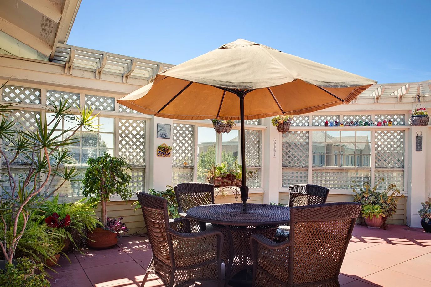 Ivy Terrace at Santa Ana