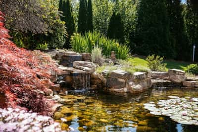 The Rosewood Health Center &ndash; The Cypress of Raleigh, Raleigh, North Carolina