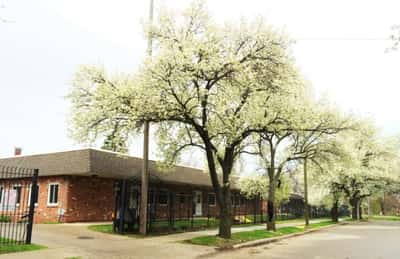 The Vernon Center - Senior Living Facility