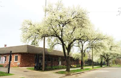 The Vernon Center - Senior Living Facility