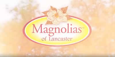 Magnolias of Lancaster video thumbnail