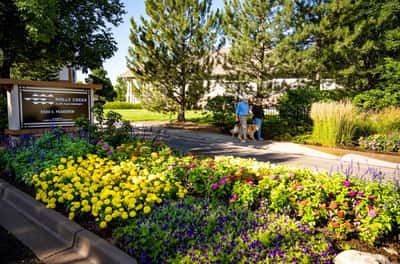 Holly Creek - Senior Living Facility