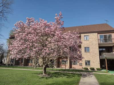 Albertine Home - Senior Living Facility