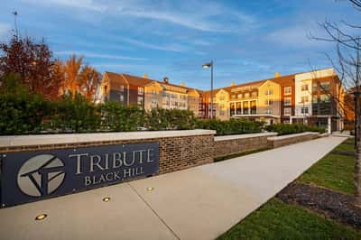 Tribute at Black Hill by Cogir - Senior Living Facility