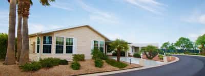 Palmas Del Sol East Active 55+ Community - Senior Living Facility