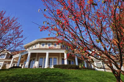 Sprenger Health Care Rose Lane Nursing and Rehabilitation - Senior Living Facility
