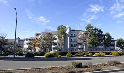 Independence Plaza - Senior Living Facility