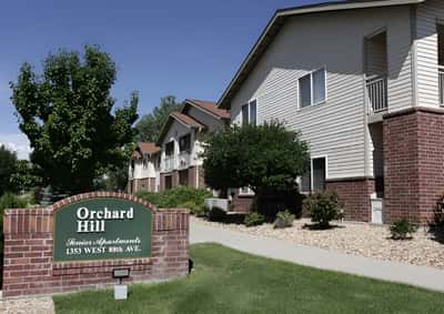 Orchard Hill Senior Apartments - Senior Living Facility