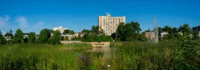 Ingleside Retirement Apartments - Senior Living Facility
