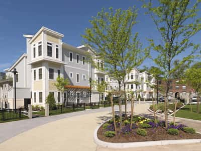 Anne M. Lynch - Senior Living Facility