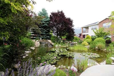 Summerfield Retirement - Senior Living Facility