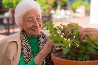 Jenkin`s Living Center - Senior Living Facility