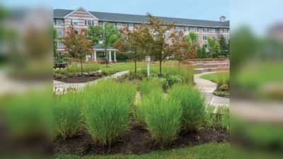 Continuing Care At Seabrook - Senior Living Facility