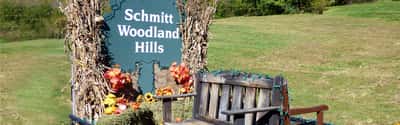 Schmitt Woodland Hills Inc - Senior Living Facility