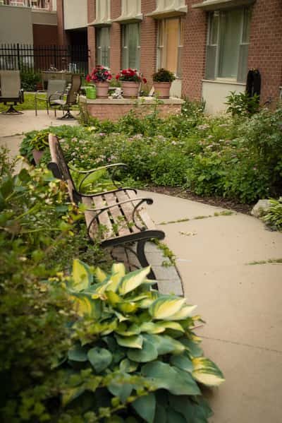 Calvin Community AL - Senior Living Facility