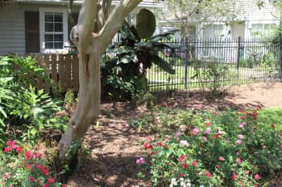 Southside Gardens Assisted Living Center - Senior Living Facility