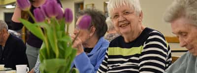 Park Village Pines - Senior Living Facility