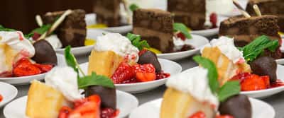 Shoreview Senior Living LLC - Senior Living Facility