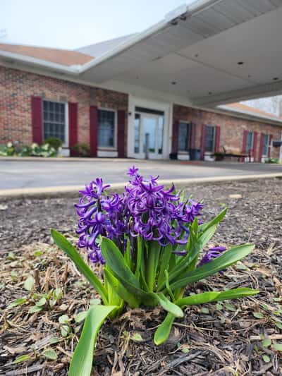 Anna Maria of Aurora, Inc. - Senior Living Facility