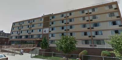 Amber Court of Brooklyn