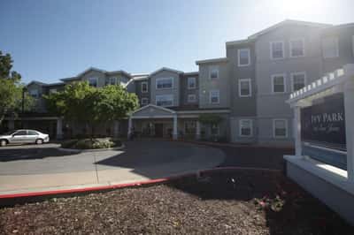 Ivy Park at San Jose