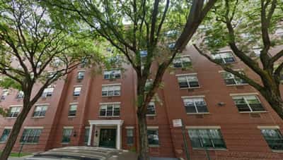 Ridge Street Gardens