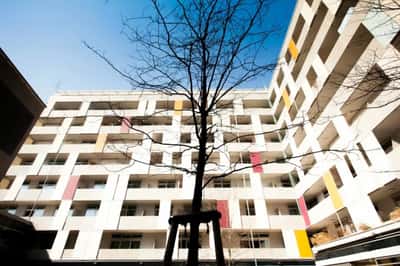 Maimonides-Zentrum GmbH