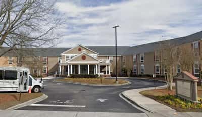 The Palmettos of Charleston