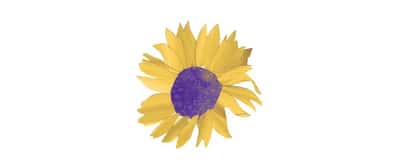 Sunny View Retirement Community - Senior Living Facility