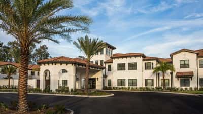 Starling at San Jose