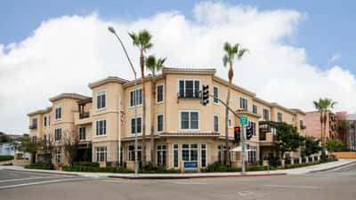 Ivy Park at La Jolla