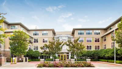 Ivy Park at Palo Alto