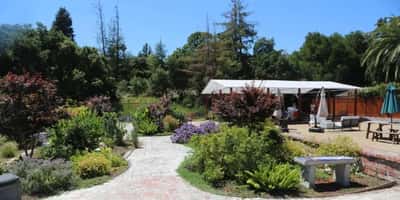 Elder Ashram