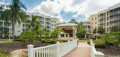 Regal Palms